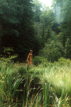 Holle-Teich am Meißner