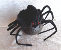 Arachne die Spinnerin